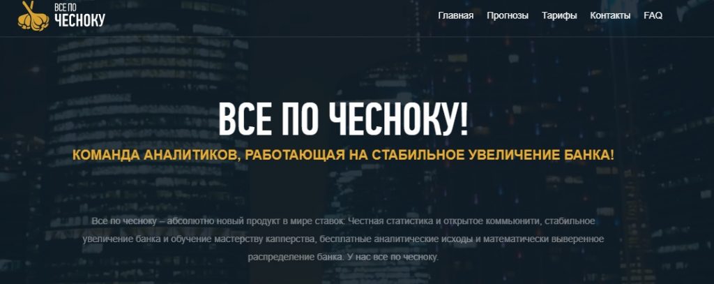 Внешний вид сайта  chesnok.pro