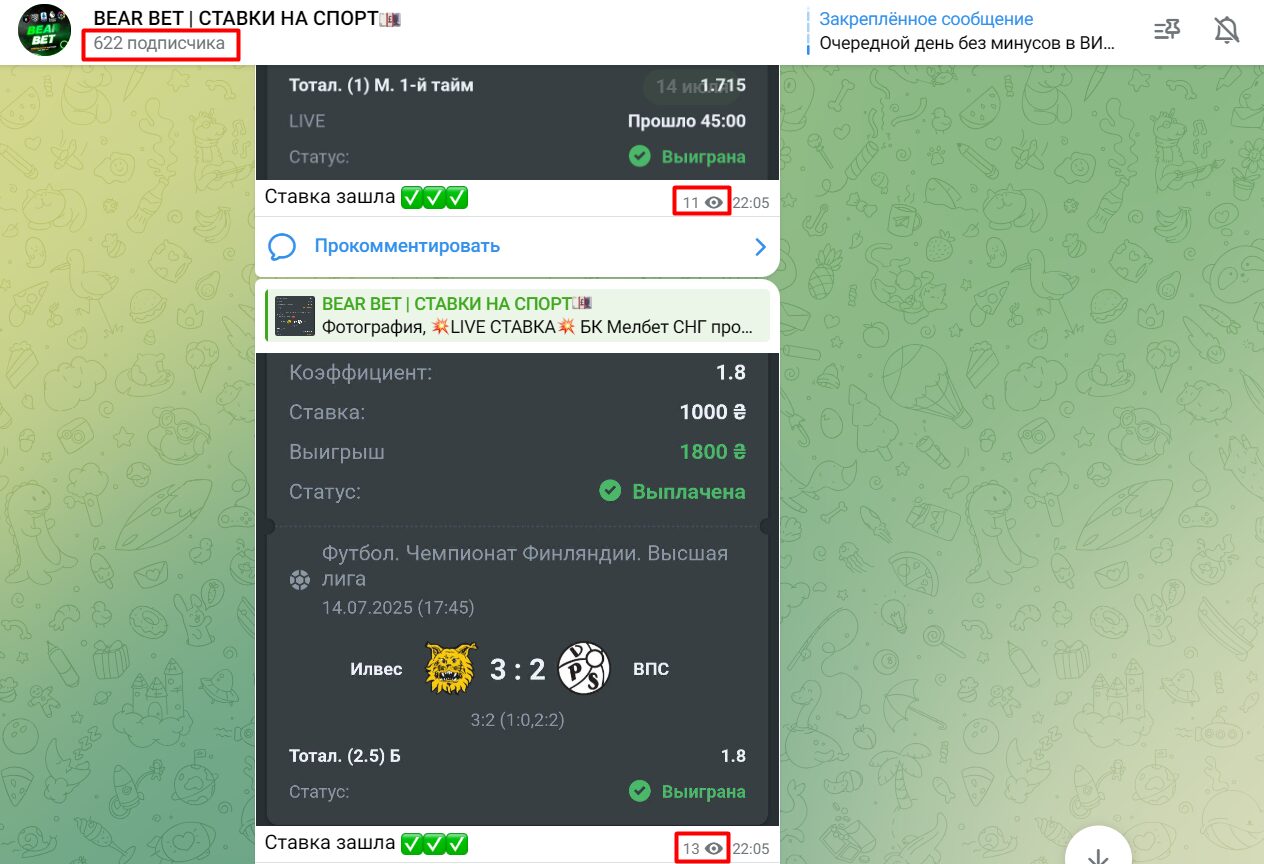 BEAR BET СТАВКИ НА СПОРТ подписчики
