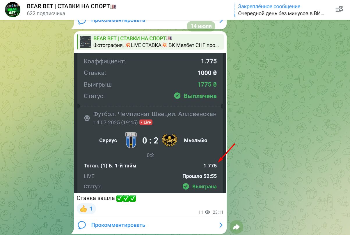 BEAR BET СТАВКИ НА СПОРТ реклама БК