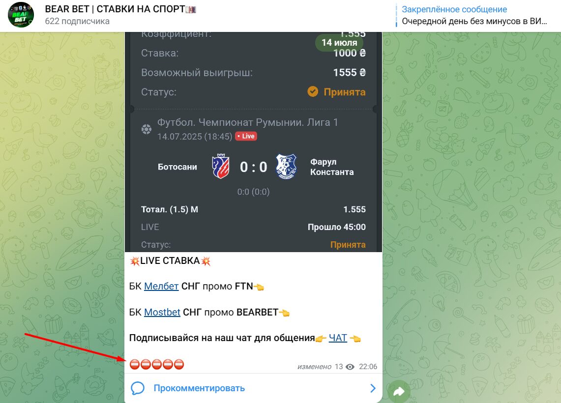 BEAR BET СТАВКИ НА СПОРТ статистика