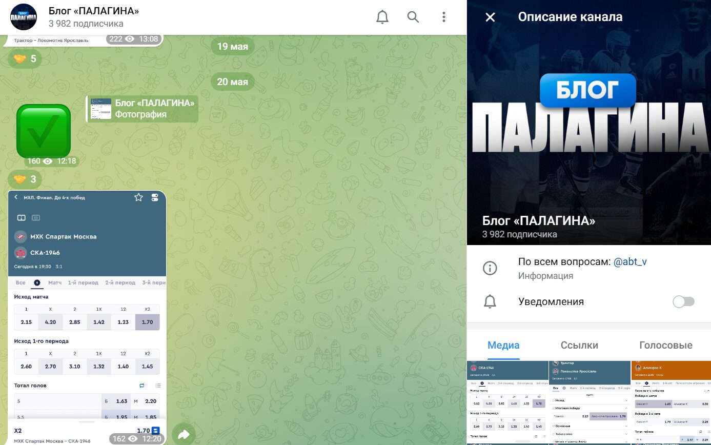 Блог Палагина ТГ