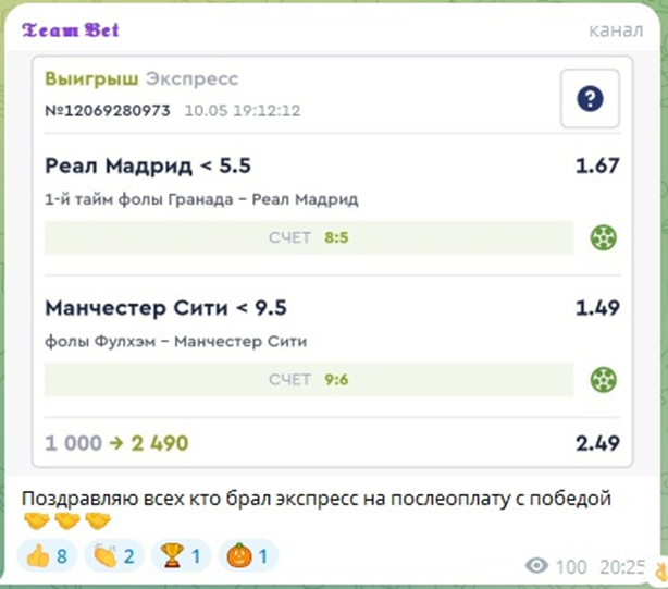 Team Bet Платные услуги
