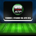 Обзор телеграм-канала Теннис | Ставки на АТП ВТА, отзывы о каппере