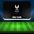 Wolf Club — сообщество во ВК о ставках, отзывы