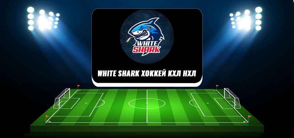 White Shark Хоккей КХЛ НХЛ — канал о ставках на спорт: обзор, отзывы
