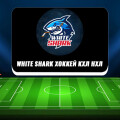 White Shark Хоккей КХЛ НХЛ — канал о ставках на спорт: обзор, отзывы