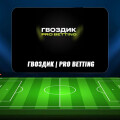 «Гвоздик | Pro Betting» — обзор каппера, отзывы