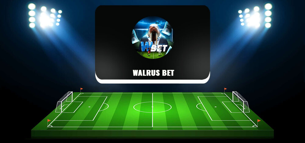 WALRUS BET — спортивная аналитика в ТГ, отзывы