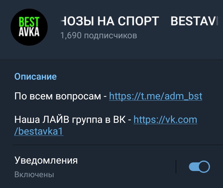 Количество подписчиков Bestavka
