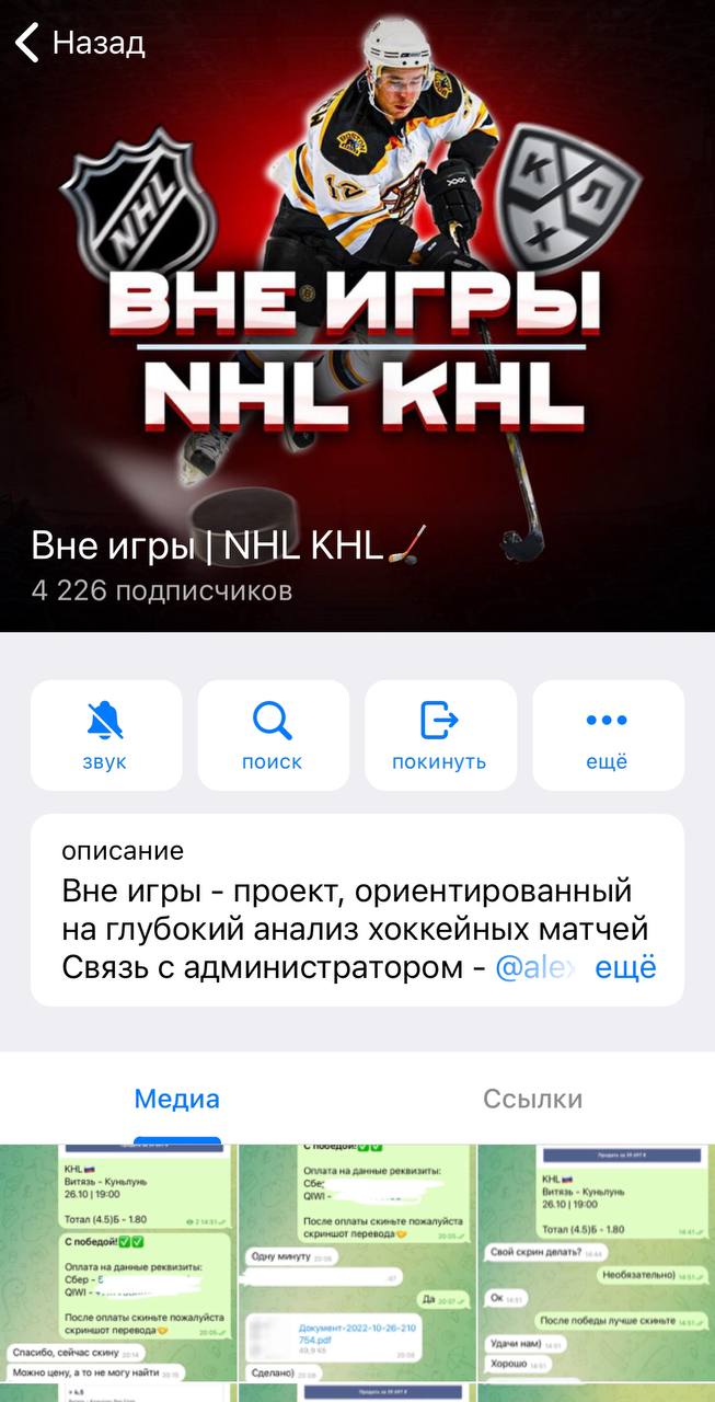 Описание «Вне игры NHL KHL»