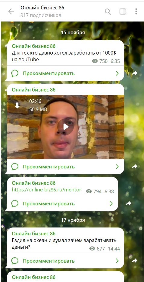 Просмотры на канале Александра Пуминова