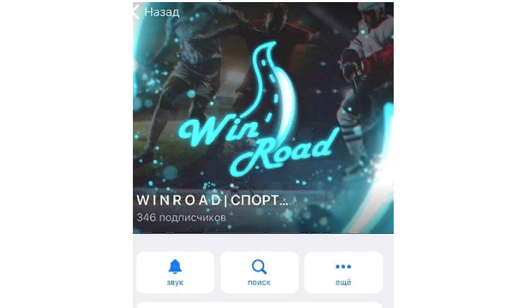 Проект Winroad